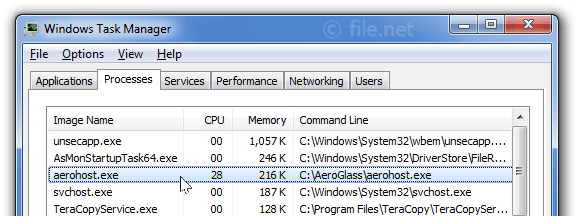 Windows Task Manager with aerohost