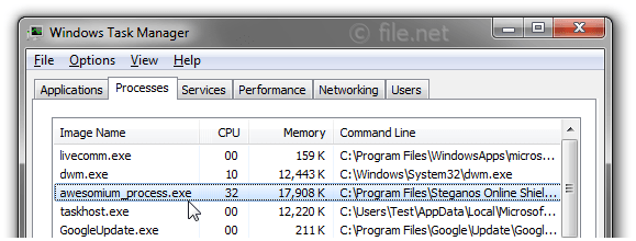 Windows Task Manager with awesomium_process