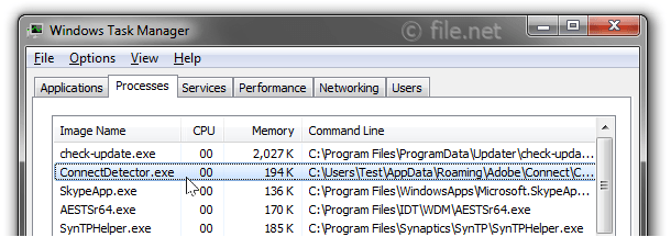 Windows Task Manager with connectdetector