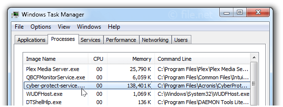 Windows Task Manager with cyber-protect-service