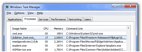 Windows Task Manager with dullahan_host