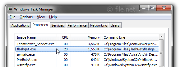 Windows Task Manager with flashget