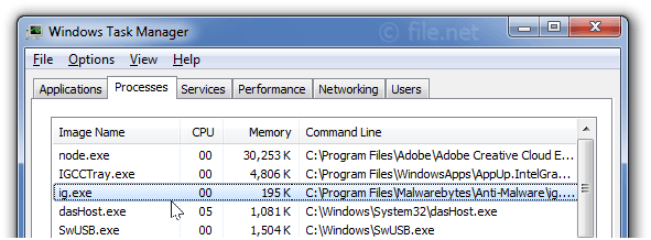 Windows Task Manager with ig