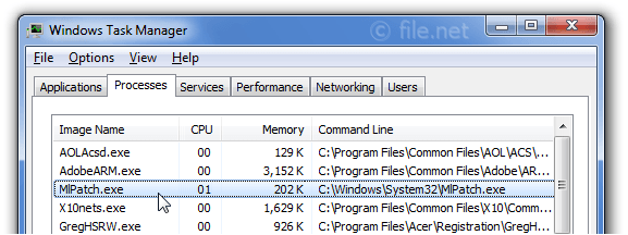 Windows Task Manager with mlpatch