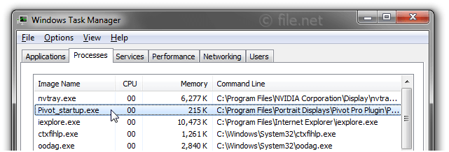 Windows Task Manager with Pivot_startup