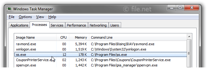 Windows Task Manager with ss