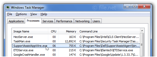 Windows Task Manager with SupportAssistAppWire