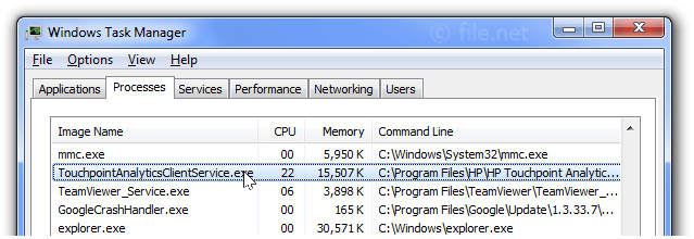 Windows Task Manager with TouchpointAnalyticsClientService