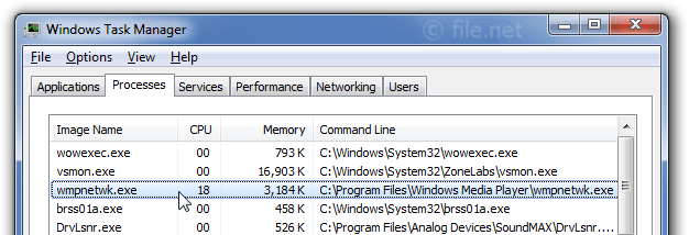 Windows Task Manager with wmpnetwk